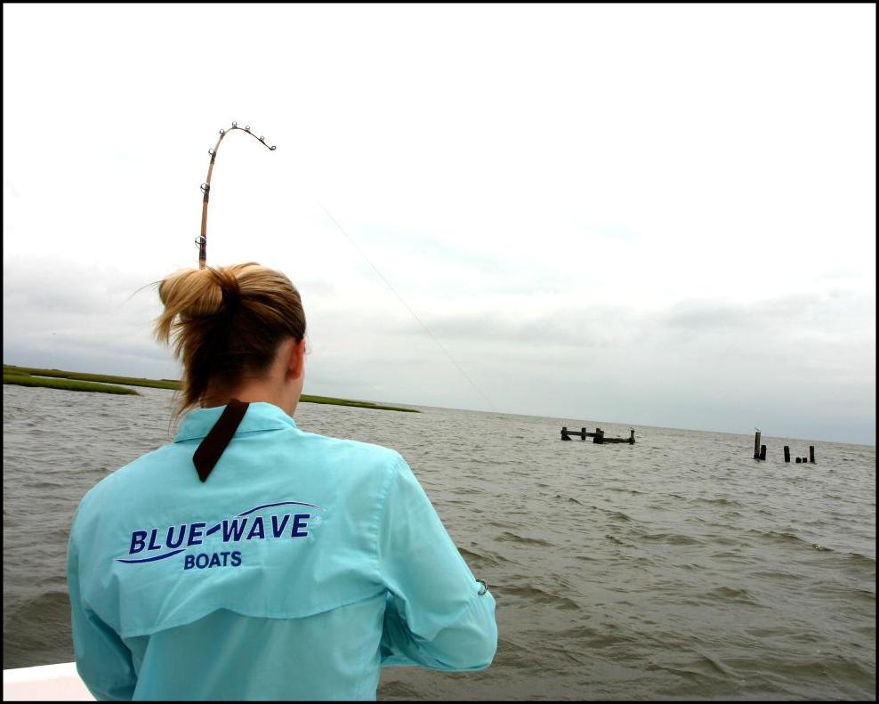 blue wave